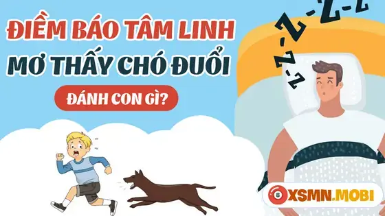 Giải Nghĩa Giấc Mơ Thấy Phân Chó Và Con Số May Mắn Nên Đánh Giải Nghĩa Giấc Mơ Thấy Phân Chó Và Con Số May Mắn Nên Đánh
