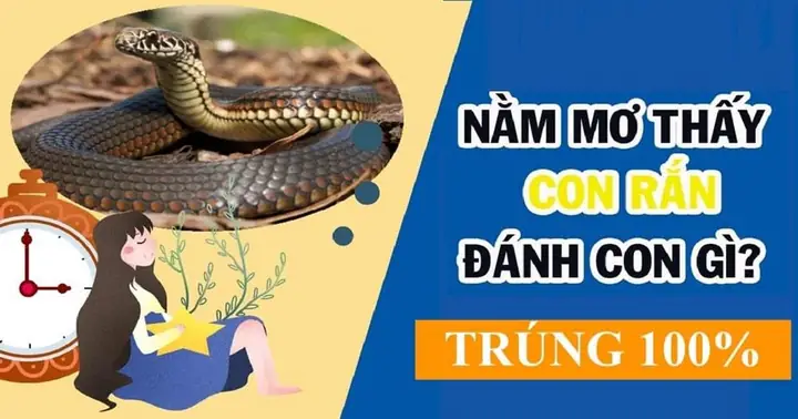 Nằm Mơ Thấy Rắn Đuổi – Điềm Báo Gì Và Con Số Đề Nên Chơi?