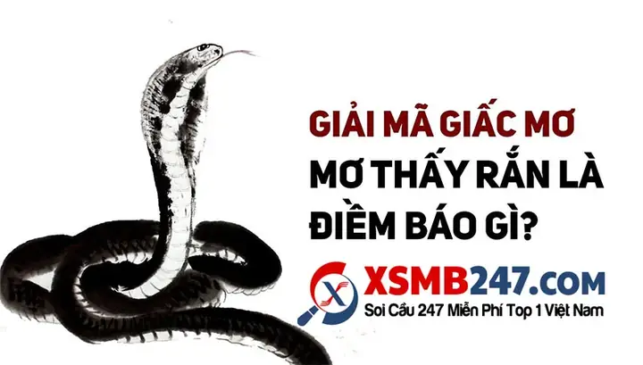 Nằm Mơ Thấy Rắn Khổng Lồ Đánh Con Gì? Ý Nghĩa, Con Số May Mắn Và Cách Giải Mã Nằm Mơ Thấy Rắn Khổng Lồ Đánh Con Gì? Ý Nghĩa, Con Số May Mắn Và Cách Giải Mã