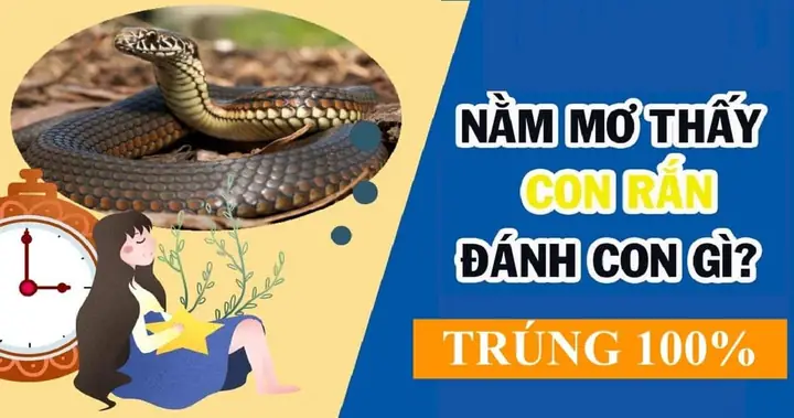 Nằm Mơ Thấy Rắn Vàng Đánh Con Gì? Ý Nghĩa, Số Đề Và Cách Giải Mã Giấc Mơ