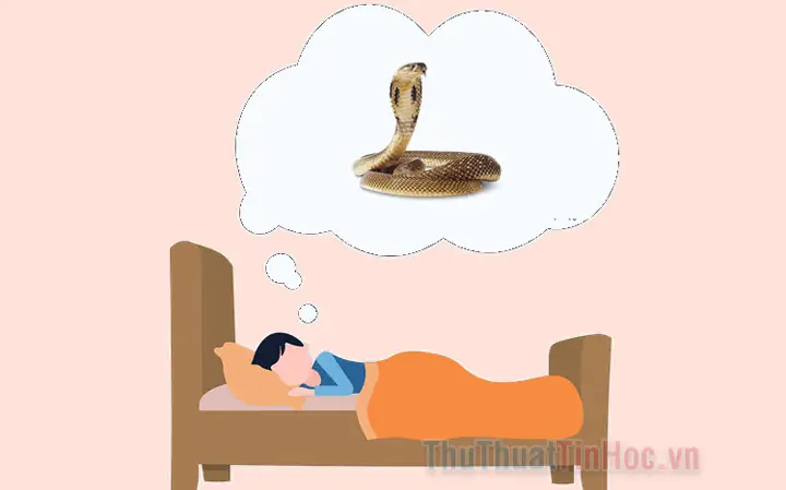 Nằm Mơ Thấy Rắn Vàng Đánh Con Gì? Ý Nghĩa, Số Đề Và Cách Giải Mã Giấc Mơ