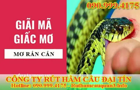 Nằm Mơ Thấy Rắn Xanh Cắn Vào Tay Nằm Mơ Thấy Rắn Xanh Cắn Vào Tay