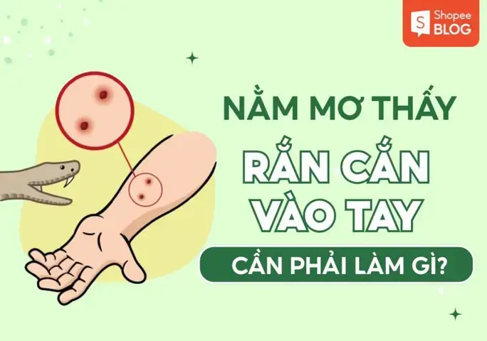 Nằm Mơ Thấy Rắn Xanh Cắn Vào Tay Nằm Mơ Thấy Rắn Xanh Cắn Vào Tay