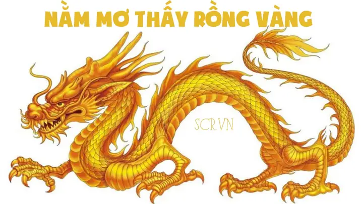 Giải Nghĩa Nằm Mơ Thấy Rồng Vàng Bay Trên Trời: Ý Nghĩa, Điềm Báo Và Con Số May Mắn