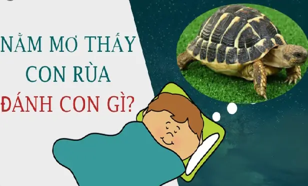 Giải Mã Giấc Mơ Thấy Rùa Vàng Đánh Con Gì: Ý Nghĩa, Con Số May Mắn Và Cách Áp Dụng Giải Mã Giấc Mơ Thấy Rùa Vàng Đánh Con Gì: Ý Nghĩa, Con Số May Mắn Và Cách Áp Dụng