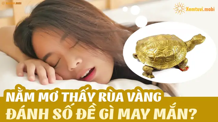 Giải Mã Giấc Mơ Thấy Rùa Vàng Đánh Con Gì: Ý Nghĩa, Con Số May Mắn Và Cách Áp Dụng Giải Mã Giấc Mơ Thấy Rùa Vàng Đánh Con Gì: Ý Nghĩa, Con Số May Mắn Và Cách Áp Dụng