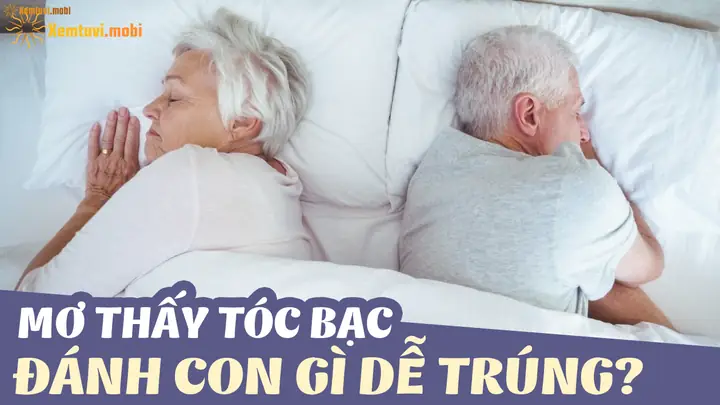 Nằm Mơ Thấy Tóc Bạc Đánh Số Gì? Ý Nghĩa Và Con Số May Mắn Giải Mã Nằm Mơ Thấy Tóc Bạc Đánh Số Gì? Ý Nghĩa Và Con Số May Mắn Giải Mã