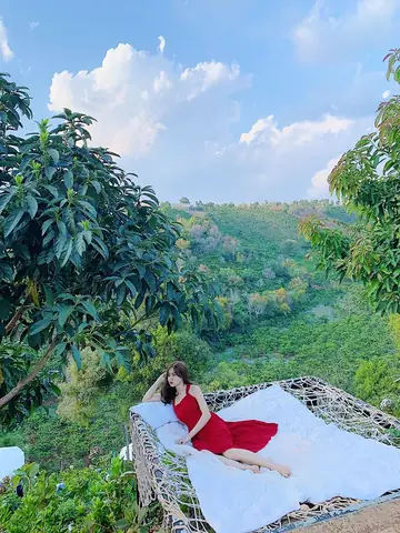 Nên Đi Đà Lạt Mấy Ngày? Hướng Dẫn Lên Lịch Trình Tối Ưu Cho Mọi Du Khách Nên Đi Đà Lạt Mấy Ngày? Hướng Dẫn Lên Lịch Trình Tối Ưu Cho Mọi Du Khách