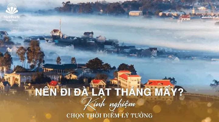 Nên Đi Đà Lạt Mấy Ngày? Hướng Dẫn Lên Lịch Trình Tối Ưu Cho Mọi Du Khách Nên Đi Đà Lạt Mấy Ngày? Hướng Dẫn Lên Lịch Trình Tối Ưu Cho Mọi Du Khách