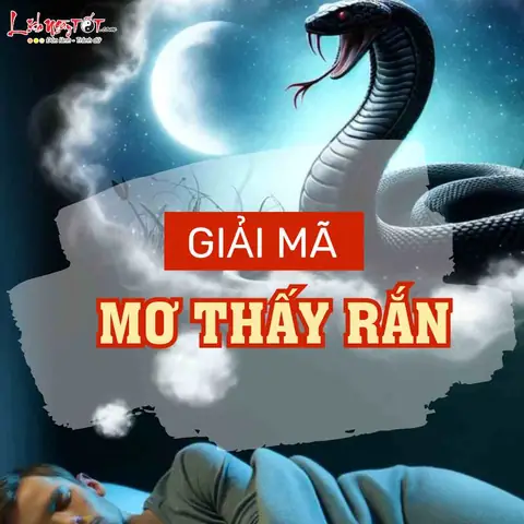 Nếu Mơ Thấy Rắn Thì Có Điềm Báo Gì Nếu Mơ Thấy Rắn Thì Có Điềm Báo Gì