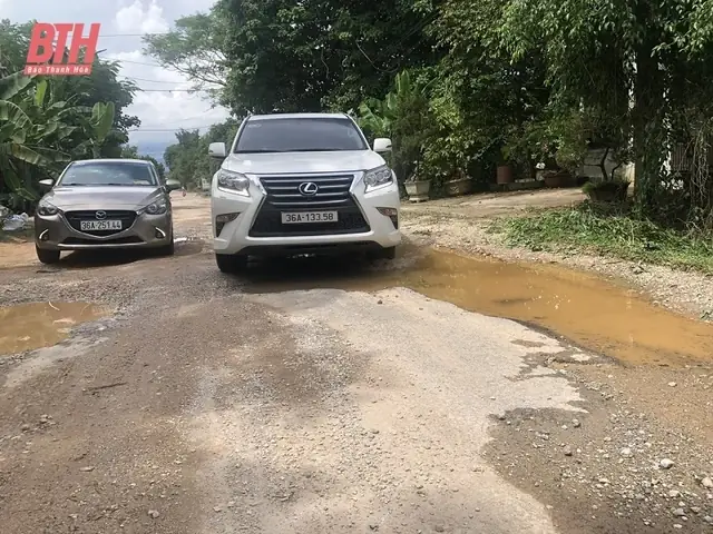 Ngã Ba Sim Triệu Sơn: Vị Trí, Hạ Tầng Giao Thông Và Thông Tin Cần Biết