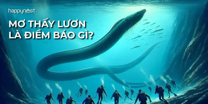 Ngủ Mơ Thấy 2 Con Lươn Đánh De Con Gì Ngủ Mơ Thấy 2 Con Lươn Đánh De Con Gì
