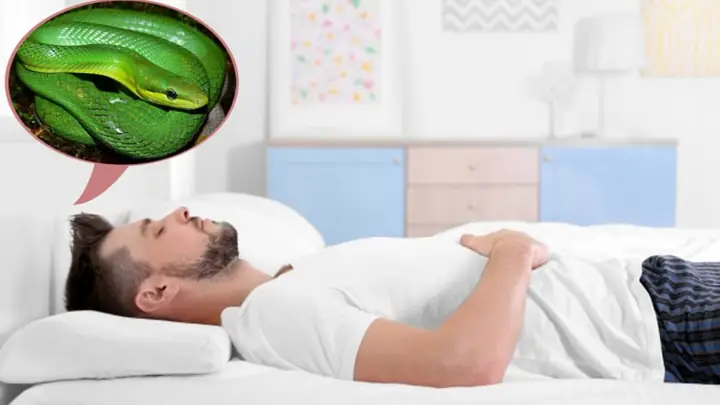 Người Ngủ Hay Mơ Có Thực Sự Thông Minh? Những Bằng Chứng Khoa Học Và Dấu Hiệu Nhận Biết Người Ngủ Hay Mơ Có Thực Sự Thông Minh? Những Bằng Chứng Khoa Học Và Dấu Hiệu Nhận Biết