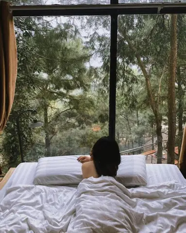 Nhà Gỗ Rừng Thông Sóc Sơn – Đánh Giá, Giá Phòng & Hướng Dẫn Đặt Phòng Cho Du Khách
