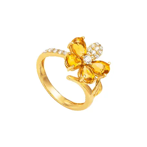 Những Điều Cần Biết Khi Chọn Nhẫn Đá Citrine Pnj: Mẫu, Chất Liệu, Giá Và Cách Bảo Quản