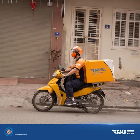Nhân Viên Bưu Tá Là Gì? Mô Tả Công Việc, Kỹ Năng Và Cơ Hội Việc Làm Mới Nhất