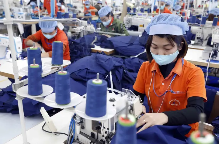 Hướng Dẫn Chi Tiết Cách Nhập Hàng Nhật Bản Về Việt Nam Cho Người Kinh Doanh