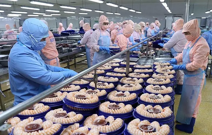 Hướng Dẫn Chi Tiết Cách Nhập Hàng Nhật Bản Về Việt Nam Cho Người Kinh Doanh