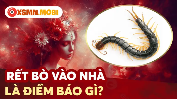 Nhìn Thấy Rết La Điềm Gì