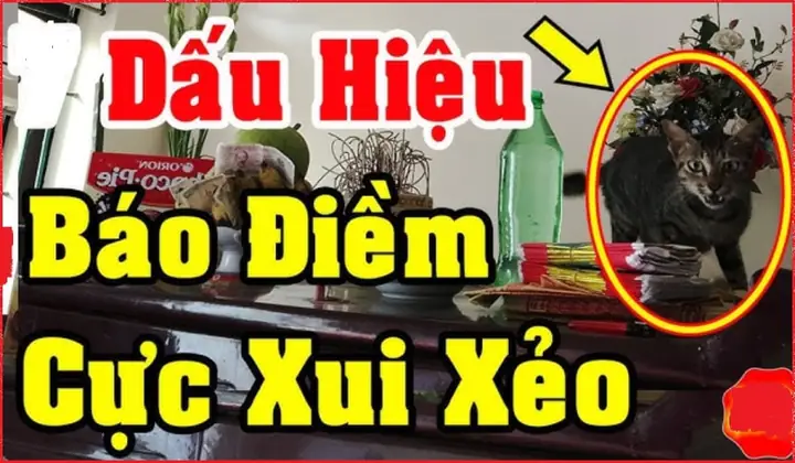 Những Điềm Báo Xui Những Điềm Báo Xui