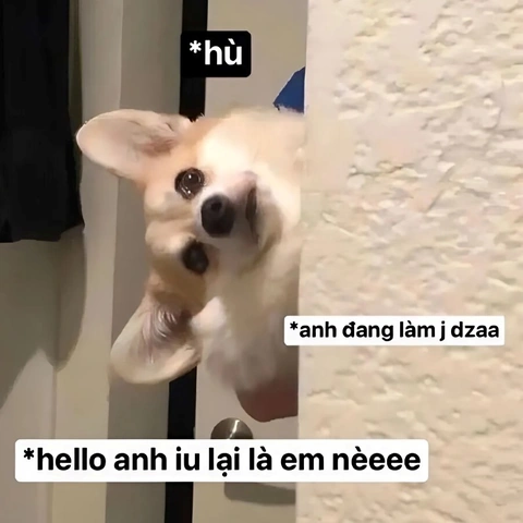 Những Hình Ảnh “anh Yêu Em” Đẹp Nhất 2026: Tải Về, Sử Dụng & Cảm Hứng Cho Mọi Nền Tảng Những Hình Ảnh “anh Yêu Em” Đẹp Nhất 2026: Tải Về, Sử Dụng & Cảm Hứng Cho Mọi Nền Tảng