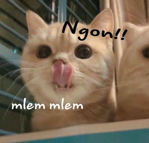 Những Hình Ảnh “chảy Nước Miếng” Khiến Bạn Thèm Muốn: Bộ Sưu Tập Meme, Ảnh Thực Tế Và Cách Tải Miễn Phí Những Hình Ảnh “chảy Nước Miếng” Khiến Bạn Thèm Muốn: Bộ Sưu Tập Meme, Ảnh Thực Tế Và Cách Tải Miễn Phí