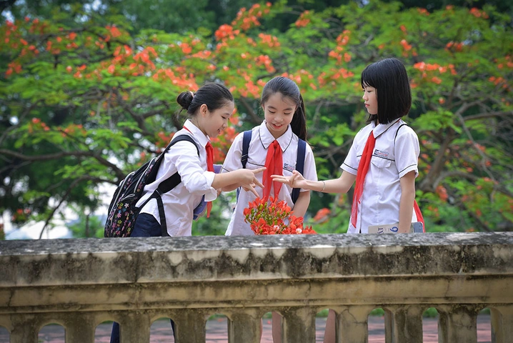 Những Hình Ảnh Về Bạn Thân: Bộ Sưu Tập Đẹp, Cute, Ngầu Cho Mọi Phong Cách Những Hình Ảnh Về Bạn Thân: Bộ Sưu Tập Đẹp, Cute, Ngầu Cho Mọi Phong Cách