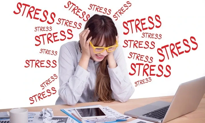 100+ Ảnh Stress Giảm Căng Thẳng 2026 - Bộ Sưu Tập Hình Nền, Avatar, Wallpaper Đẹp Nhất 100+ Ảnh Stress Giảm Căng Thẳng 2026 - Bộ Sưu Tập Hình Nền, Avatar, Wallpaper Đẹp Nhất