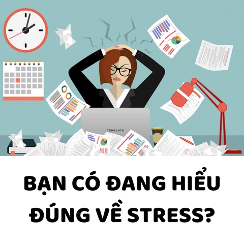 100+ Ảnh Stress Giảm Căng Thẳng 2026 - Bộ Sưu Tập Hình Nền, Avatar, Wallpaper Đẹp Nhất 100+ Ảnh Stress Giảm Căng Thẳng 2026 - Bộ Sưu Tập Hình Nền, Avatar, Wallpaper Đẹp Nhất