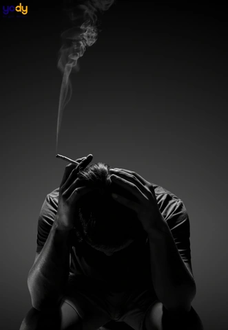 100+ Ảnh Stress Giảm Căng Thẳng 2026 - Bộ Sưu Tập Hình Nền, Avatar, Wallpaper Đẹp Nhất 100+ Ảnh Stress Giảm Căng Thẳng 2026 - Bộ Sưu Tập Hình Nền, Avatar, Wallpaper Đẹp Nhất