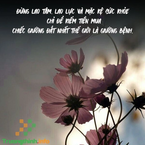 Những Hình Ảnh Về Sức Khỏe: Tải Miễn Phí, Chọn Lọc Và Sử Dụng Hiệu Quả Cho Mọi Đối Tượng Những Hình Ảnh Về Sức Khỏe: Tải Miễn Phí, Chọn Lọc Và Sử Dụng Hiệu Quả Cho Mọi Đối Tượng