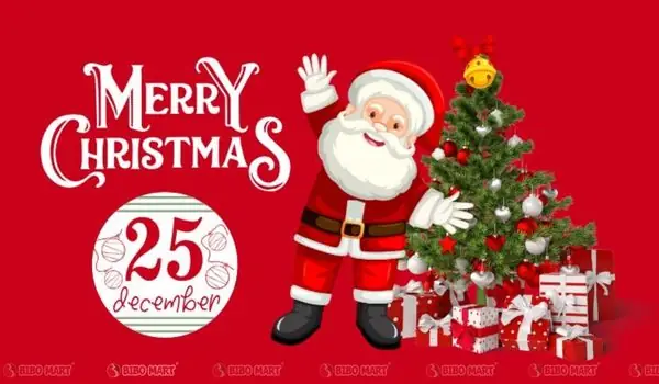 Noel Tổ Chức Vào Ngày Nào? Đáp Án Chính Xác + Lịch Trình Lễ Hội Chi Tiết Noel Tổ Chức Vào Ngày Nào? Đáp Án Chính Xác + Lịch Trình Lễ Hội Chi Tiết