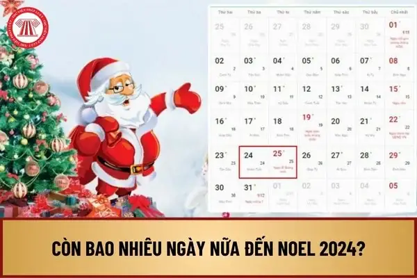 Noel Tổ Chức Vào Ngày Nào? Đáp Án Chính Xác + Lịch Trình Lễ Hội Chi Tiết Noel Tổ Chức Vào Ngày Nào? Đáp Án Chính Xác + Lịch Trình Lễ Hội Chi Tiết