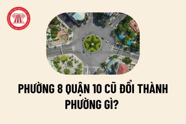 Phường 8 Quận 10 Sau Sáp Nhập Đổi Tên Thành Gì Và Thông Tin Quy Hoạch Mới Phường 8 Quận 10 Sau Sáp Nhập Đổi Tên Thành Gì Và Thông Tin Quy Hoạch Mới