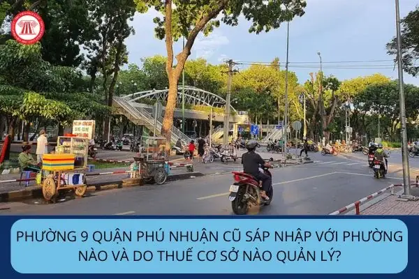 Thông Tin Về Phường 9 Quận Phú Nhuận Sau Khi Sáp Nhập Đơn Vị Hành Chính Thông Tin Về Phường 9 Quận Phú Nhuận Sau Khi Sáp Nhập Đơn Vị Hành Chính