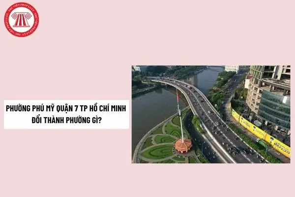 Thông Tin Mới Nhất Về Phường Phú Mỹ Quận 7 Sau Sáp Nhập Đơn Vị Hành Chính Thông Tin Mới Nhất Về Phường Phú Mỹ Quận 7 Sau Sáp Nhập Đơn Vị Hành Chính