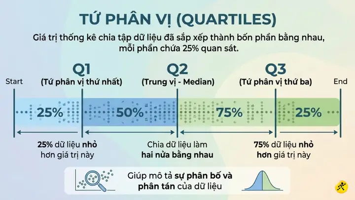 Tứ Phân Vị (q1, Q2, Q3) Là Gì? Công Thức Tính Và Cách Xác Định Chi Tiết Tứ Phân Vị (q1, Q2, Q3) Là Gì? Công Thức Tính Và Cách Xác Định Chi Tiết