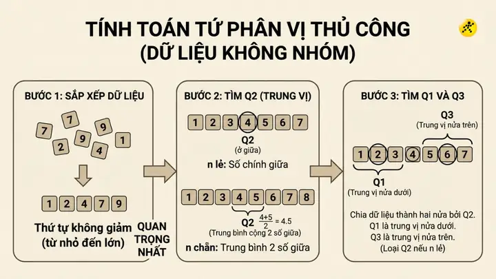 Tứ Phân Vị (q1, Q2, Q3) Là Gì? Công Thức Tính Và Cách Xác Định Chi Tiết Tứ Phân Vị (q1, Q2, Q3) Là Gì? Công Thức Tính Và Cách Xác Định Chi Tiết