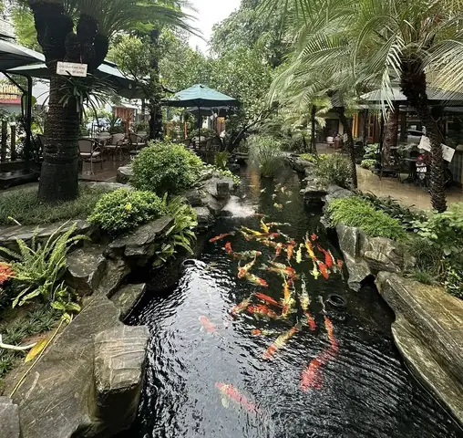 Top 7 Quán Cafe Cá Koi Ở Hải Phòng Mà Bạn Không Nên Bỏ Lỡ Top 7 Quán Cafe Cá Koi Ở Hải Phòng Mà Bạn Không Nên Bỏ Lỡ
