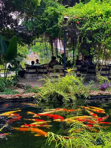 Top 7 Quán Cafe Cá Koi Ở Hải Phòng Mà Bạn Không Nên Bỏ Lỡ Top 7 Quán Cafe Cá Koi Ở Hải Phòng Mà Bạn Không Nên Bỏ Lỡ