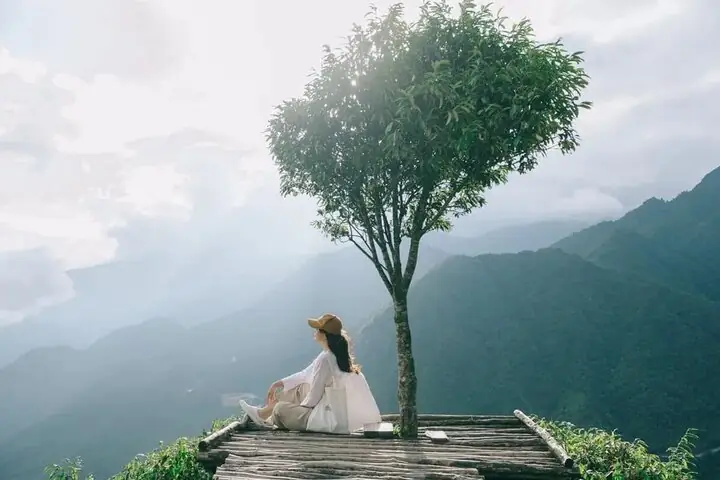 Top 7 Quán Cafe Đèo Ô Quy Hồ View Săn Mây Đẹp Nhất – Hướng Dẫn Địa Điểm, Giá Và Giờ Mở Cửa
