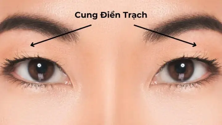 Sao Quan Phủ Cung Điền Trạch: Luận Giải Ý Nghĩa Và Ảnh Hưởng Trong Tử Vi Sao Quan Phủ Cung Điền Trạch: Luận Giải Ý Nghĩa Và Ảnh Hưởng Trong Tử Vi