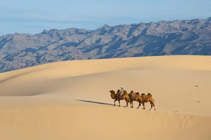 Sa Mạc Gobi Ở Trung Quốc: Địa Lý, Đặc Điểm Tự Nhiên Và Những Điểm Du Lịch Nổi Bật Sa Mạc Gobi Ở Trung Quốc: Địa Lý, Đặc Điểm Tự Nhiên Và Những Điểm Du Lịch Nổi Bật