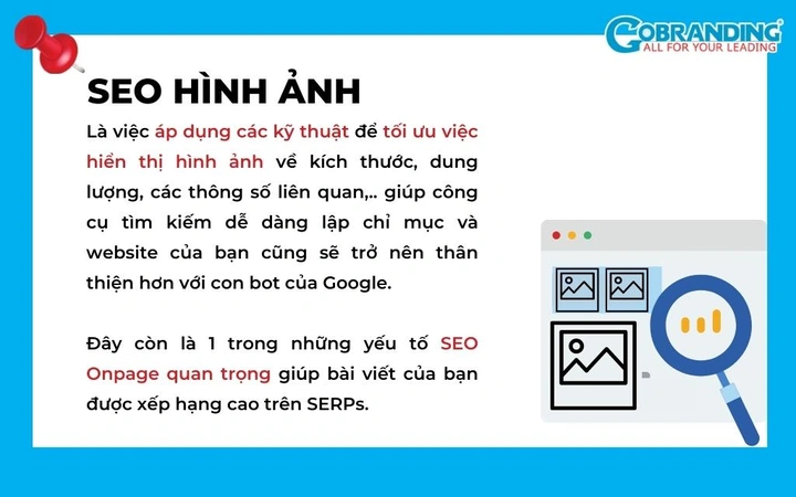 Seo Hình Ảnh Như Thế Nào? 7 Bước Chuẩn Seo Hình Ảnh Cho Người Mới Bắt Đầu & Chuyên Gia
