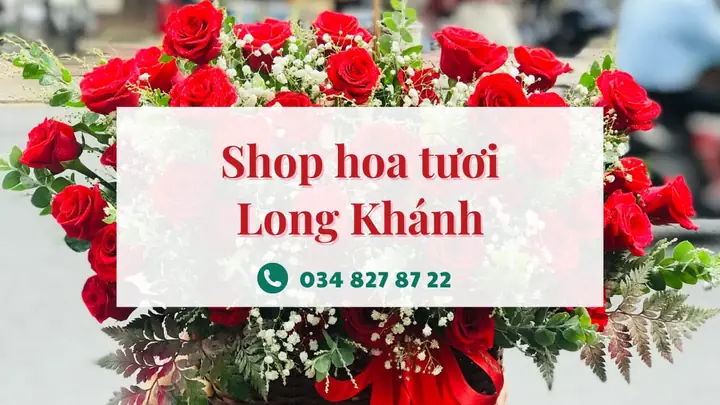 Top 10+ Shop Hoa Tươi Long Khánh Uy Tín, Giao Hàng Nhanh Chóng Top 10+ Shop Hoa Tươi Long Khánh Uy Tín, Giao Hàng Nhanh Chóng