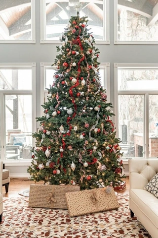 Tải Hình Ảnh Cây Thông Noel Miễn Phí: Bộ Sưu Tập Đầy Đủ Cho Mọi Nhu Cầu (dành Cho Người Yêu Thiết Kế & Trang Trí) Tải Hình Ảnh Cây Thông Noel Miễn Phí: Bộ Sưu Tập Đầy Đủ Cho Mọi Nhu Cầu (dành Cho Người Yêu Thiết Kế & Trang Trí)