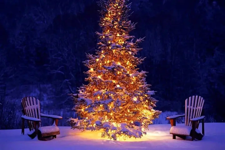 Tải Hình Ảnh Cây Thông Noel Miễn Phí: Bộ Sưu Tập Đầy Đủ Cho Mọi Nhu Cầu (dành Cho Người Yêu Thiết Kế & Trang Trí) Tải Hình Ảnh Cây Thông Noel Miễn Phí: Bộ Sưu Tập Đầy Đủ Cho Mọi Nhu Cầu (dành Cho Người Yêu Thiết Kế & Trang Trí)