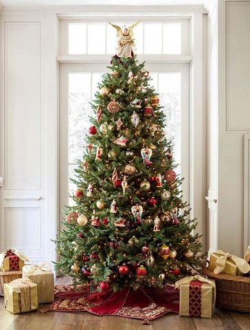 Tải Hình Ảnh Cây Thông Noel Miễn Phí: Bộ Sưu Tập Đầy Đủ Cho Mọi Nhu Cầu (dành Cho Người Yêu Thiết Kế & Trang Trí) Tải Hình Ảnh Cây Thông Noel Miễn Phí: Bộ Sưu Tập Đầy Đủ Cho Mọi Nhu Cầu (dành Cho Người Yêu Thiết Kế & Trang Trí)