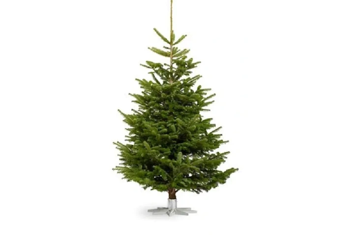 Tải Hình Ảnh Cây Thông Noel Miễn Phí: Bộ Sưu Tập Đầy Đủ Cho Mọi Nhu Cầu (dành Cho Người Yêu Thiết Kế & Trang Trí) Tải Hình Ảnh Cây Thông Noel Miễn Phí: Bộ Sưu Tập Đầy Đủ Cho Mọi Nhu Cầu (dành Cho Người Yêu Thiết Kế & Trang Trí)