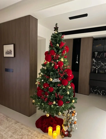 Tải Hình Ảnh Cây Thông Noel Miễn Phí: Bộ Sưu Tập Đầy Đủ Cho Mọi Nhu Cầu (dành Cho Người Yêu Thiết Kế & Trang Trí) Tải Hình Ảnh Cây Thông Noel Miễn Phí: Bộ Sưu Tập Đầy Đủ Cho Mọi Nhu Cầu (dành Cho Người Yêu Thiết Kế & Trang Trí)
